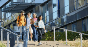 أفضل التخصصات للدراسة في ألمانيا 2025 لوظيفة براتب مرتفع بعد التخرج