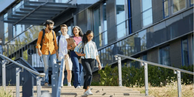 أفضل التخصصات للدراسة في ألمانيا 2025 لوظيفة براتب مرتفع بعد التخرج