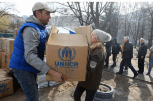 أهم تطبيق مجاني للاستشارات ودعم المهاجرين في ألمانيا