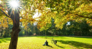 المنظمات في ألمانيا التي تُقدّم دعماً للأجانب