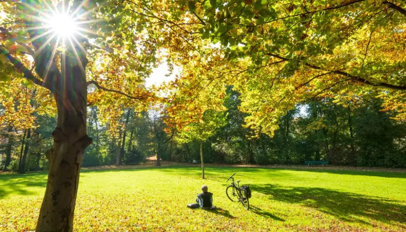 المنظمات في ألمانيا التي تُقدّم دعماً للأجانب