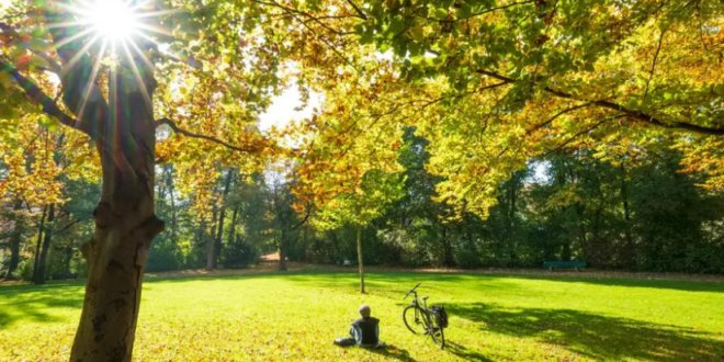 المنظمات في ألمانيا التي تُقدّم دعماً للأجانب